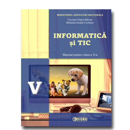 Informatica si TIC
