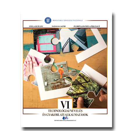 Educatie tehnologica si aplicatii practice in limba maghiara